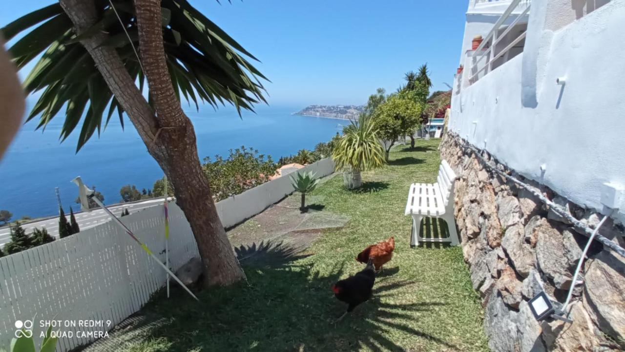 Villa Buganvilla En Salobreña Extérieur photo